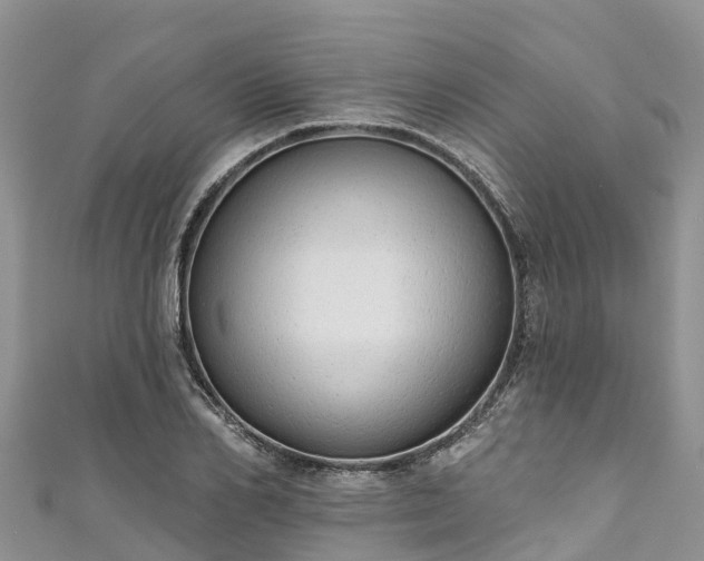 X0000110960982200906261338