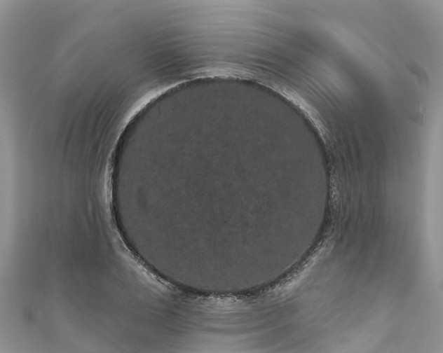 X0000110960983200906261338