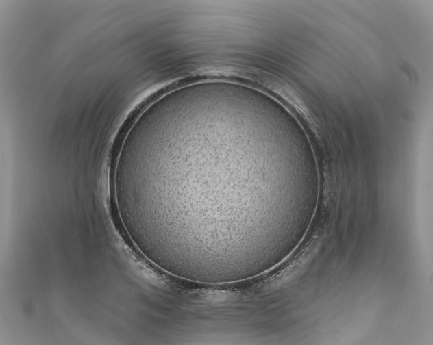 X0000110960984200906261338