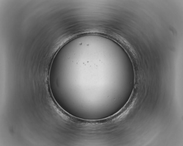 X0000110960985200906261338