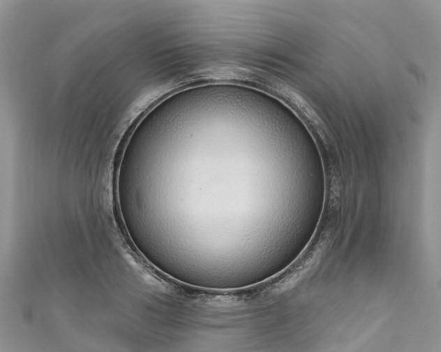 X0000110960986200906261338