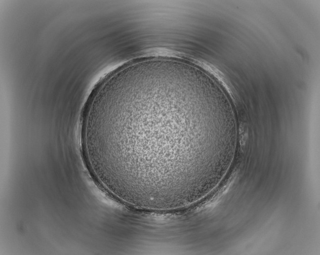 X0000110960987200906261338