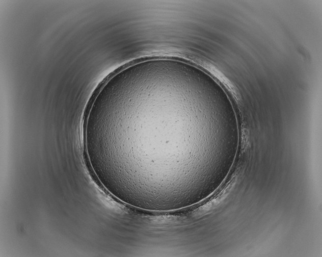 X0000110960988200906261338