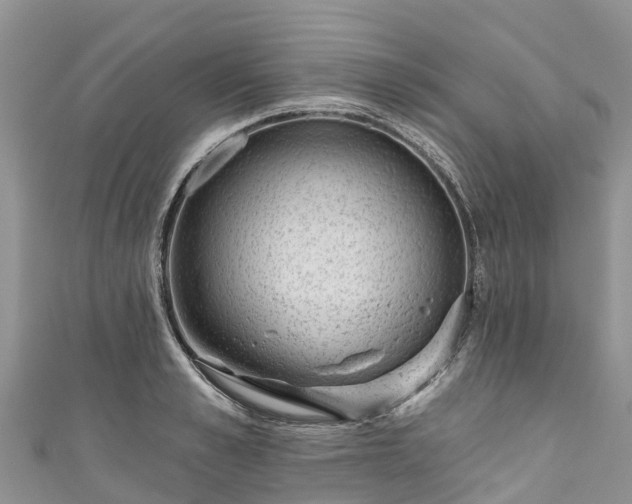X0000110960989200906261338