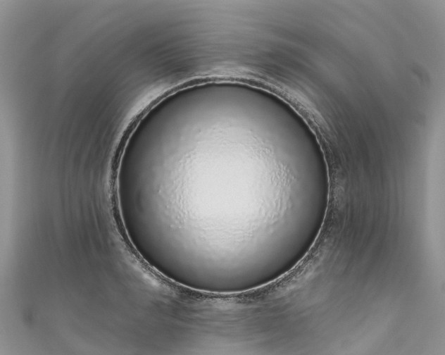 X0000110960990200906261338