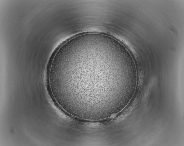 X0000110960991200906261338