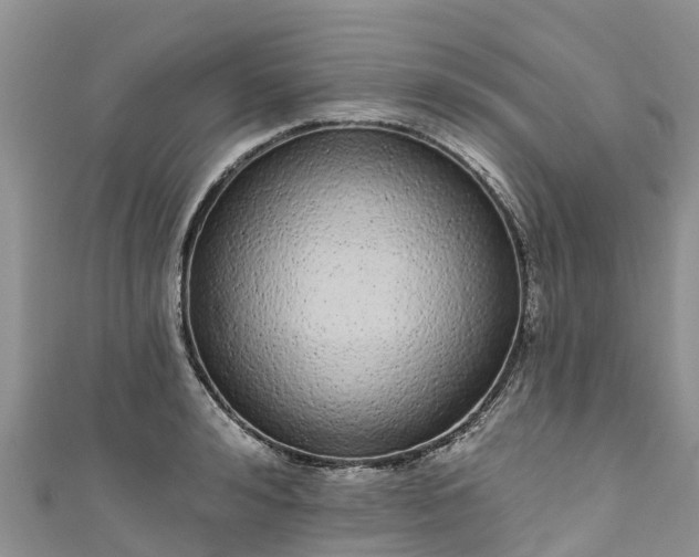 X0000110960992200906261338