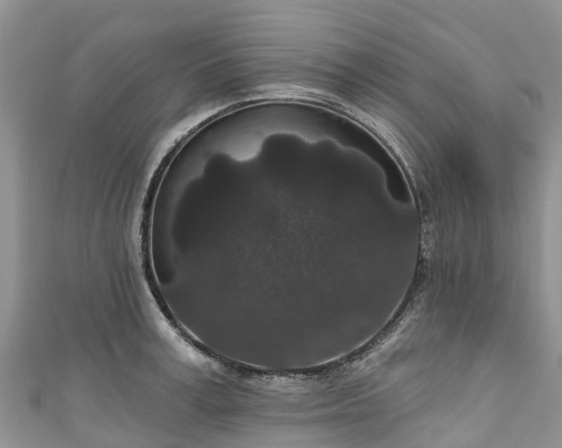 X0000110960995200906261338