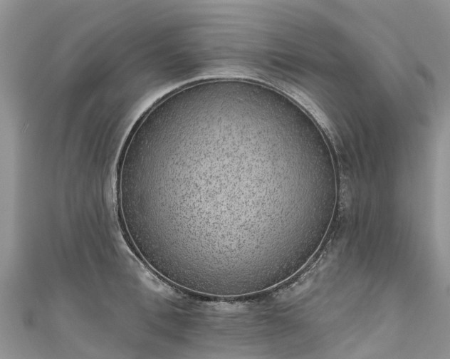 X0000110960996200906261338