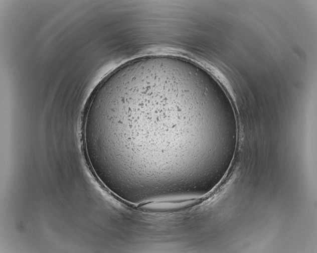 X0000110960997200906261338