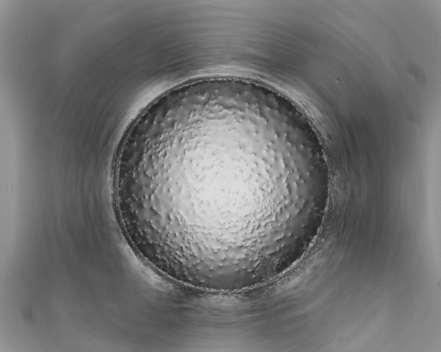 X0000110960998200906261338