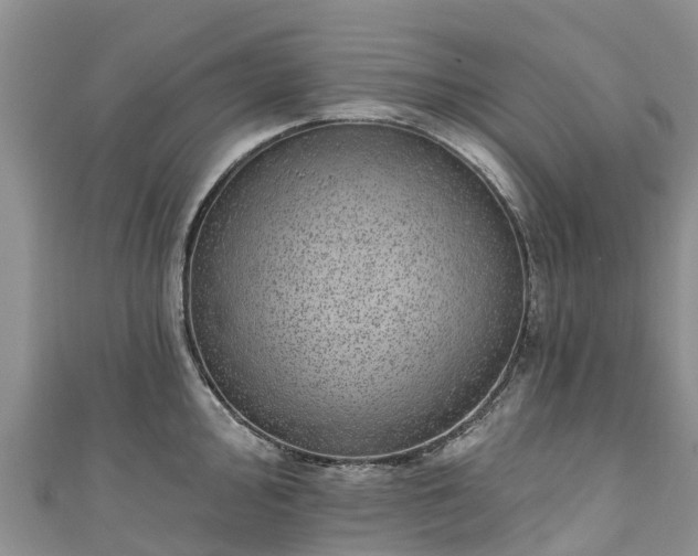 X0000110961000200906261338