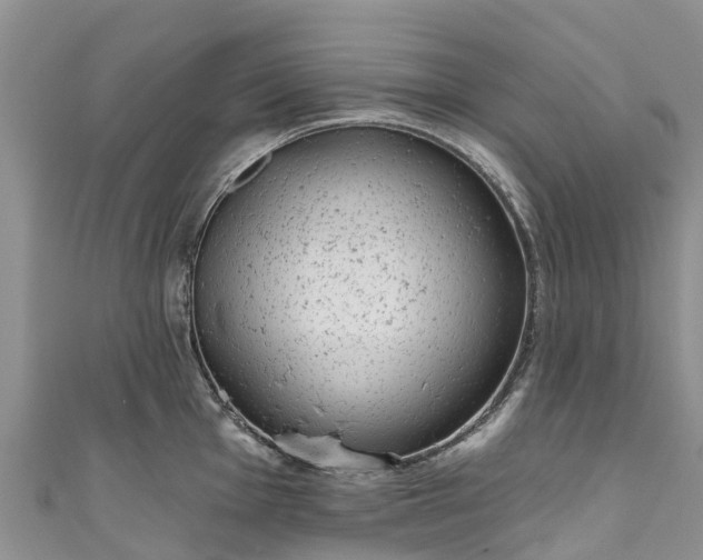 X0000110961001200906261338