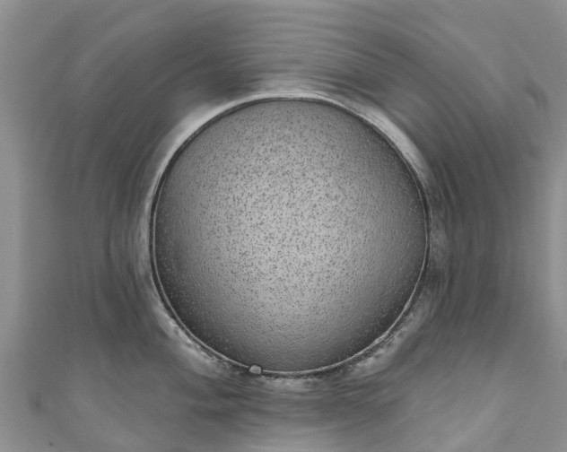 X0000110961004200906261337