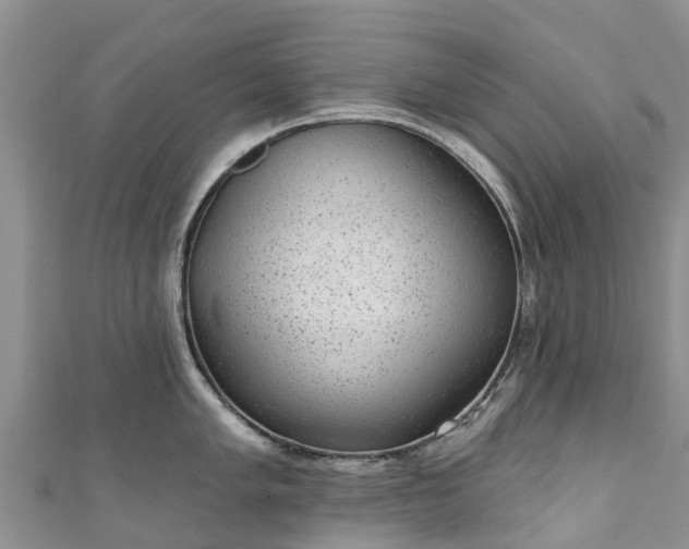 X0000110961005200906261337
