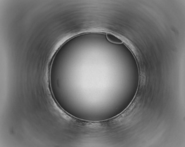 X0000110961006200906261337