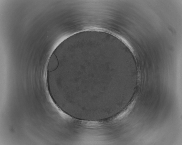 X0000110961007200906261337