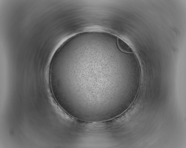 X0000110961008200906261337