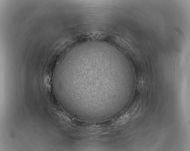 X0000110961010200906261337