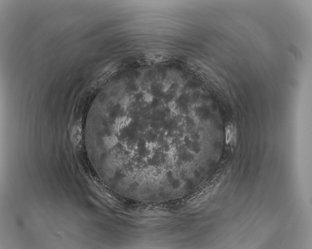 X0000110961011200906261337