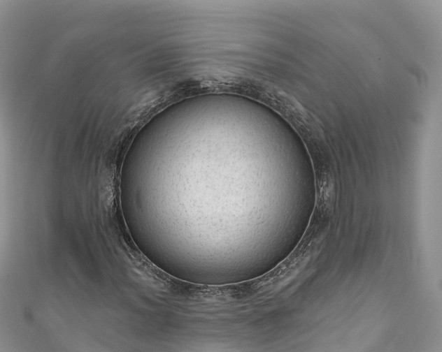 X0000110961012200906261337