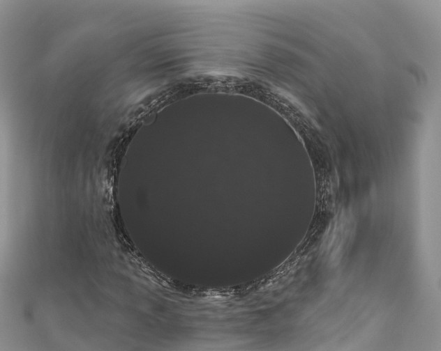 X0000110961013200906261337
