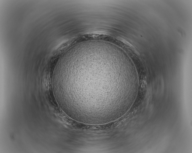 X0000110961014200906261337