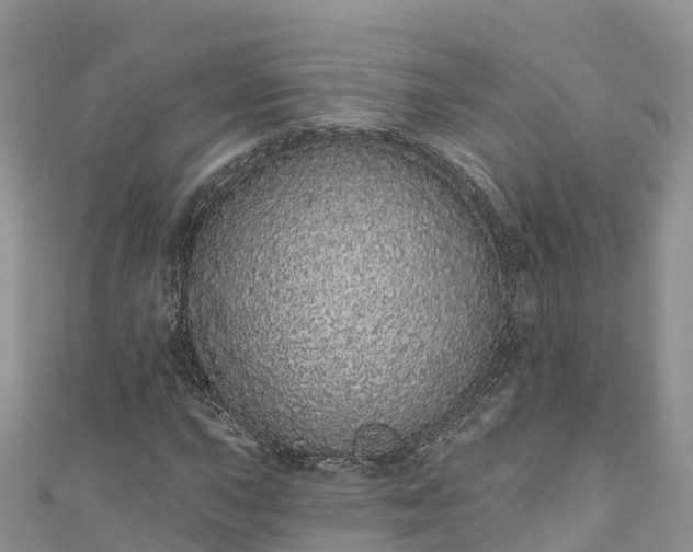 X0000110961015200906261337