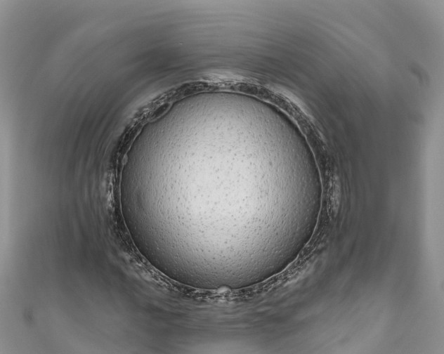 X0000110961016200906261337