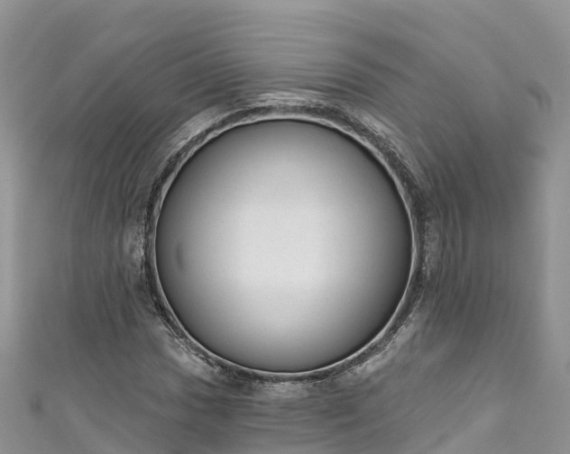 X0000110961017200906261337