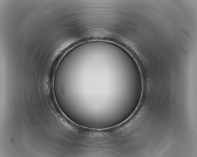 X0000110961018200906261337