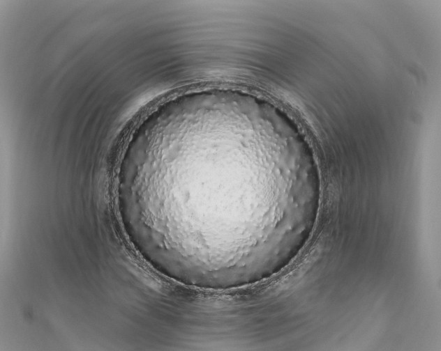X0000110961019200906261337