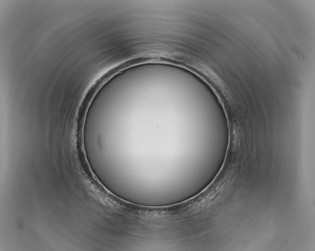 X0000110961020200906261337