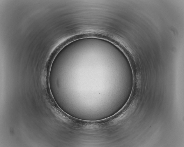 X0000110961021200906261337