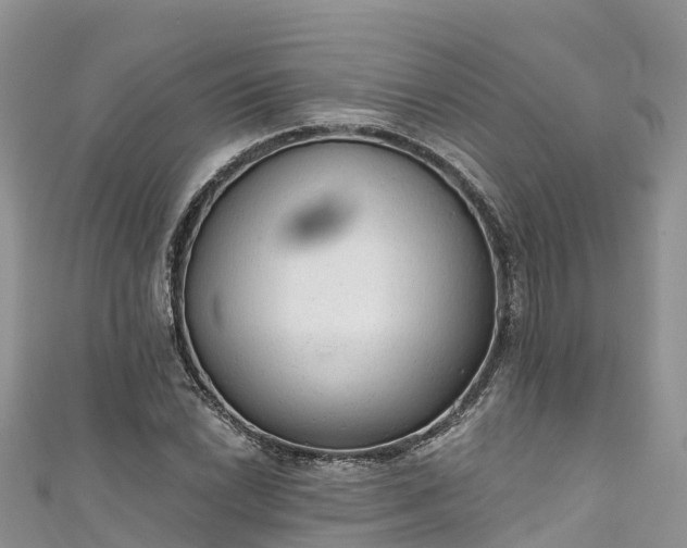 X0000110961022200906261337