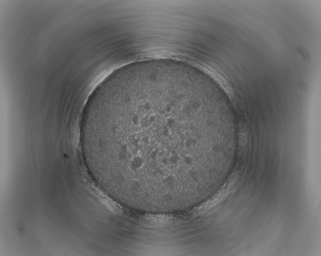 X0000110961023200906261337