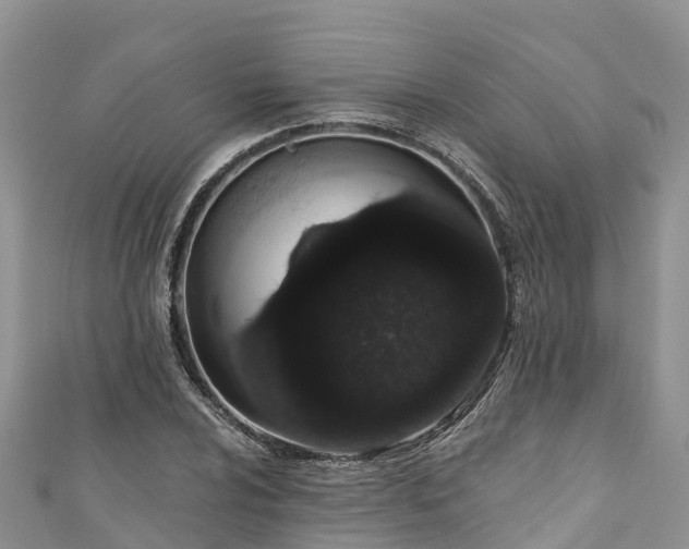 X0000110961024200906261337