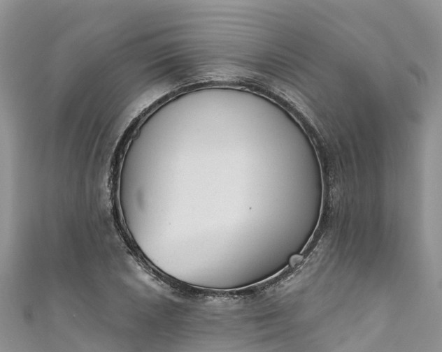 X0000110961026200906261337