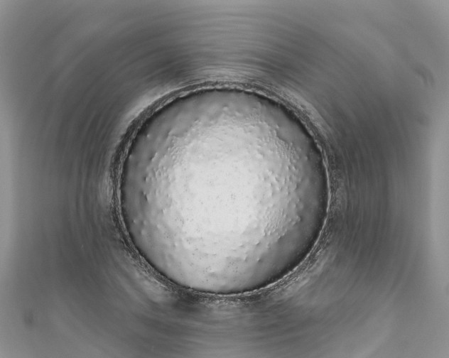 X0000110961027200906261337