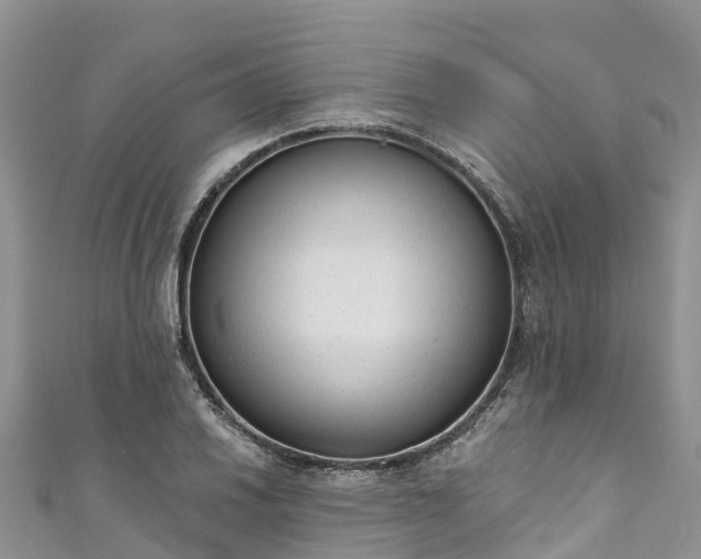 X0000110961030200906261337