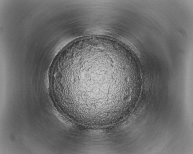 X0000110961031200906261337