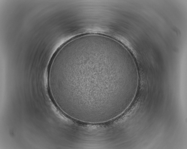 X0000110961032200906261337