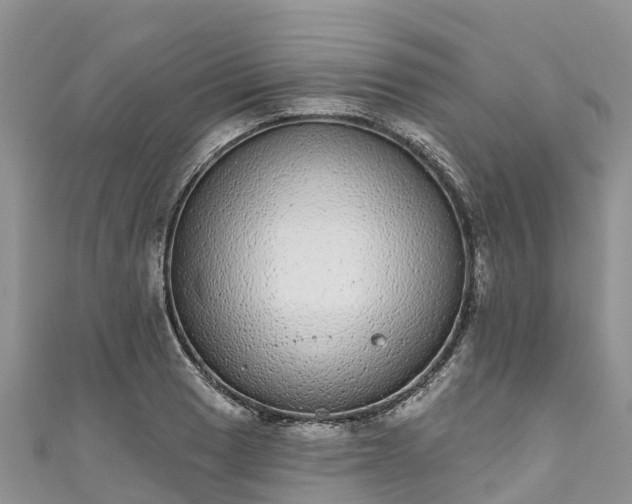X0000110961033200906261337