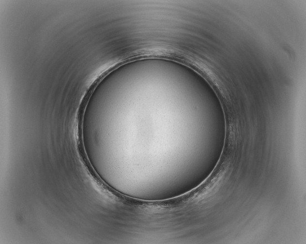 X0000110961034200906261337