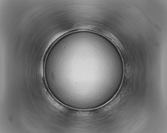 X0000110961036200906261337