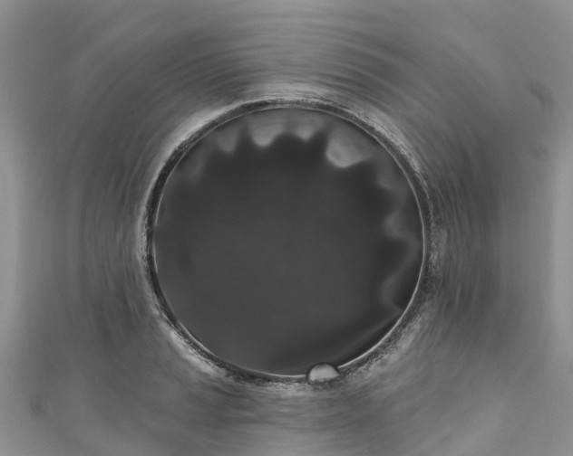 X0000110961037200906261337