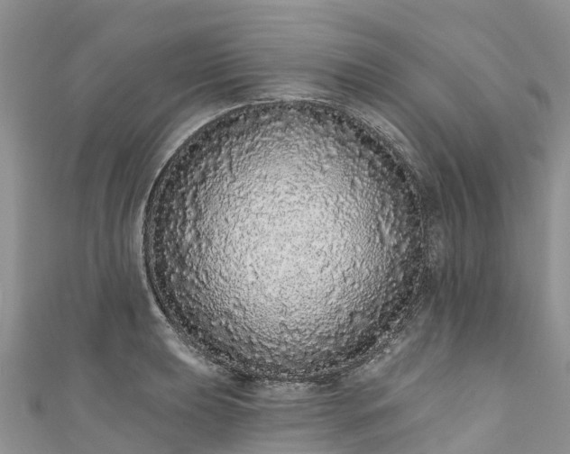 X0000110961039200906261337