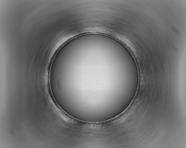 X0000110961040200906261337