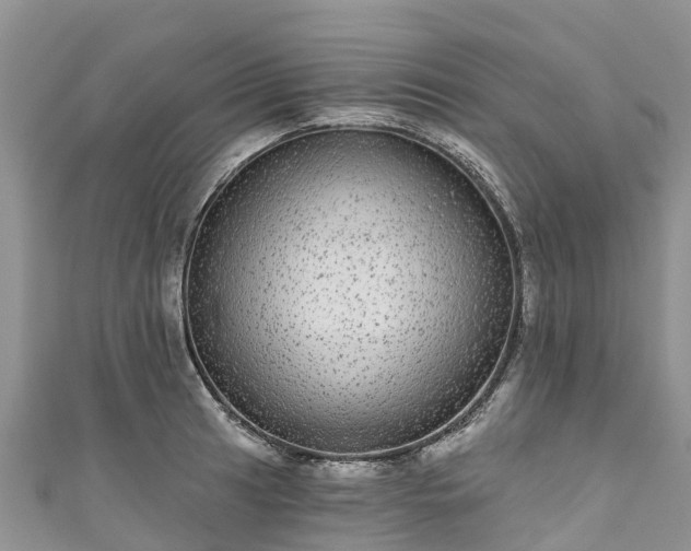 X0000110961041200906261337