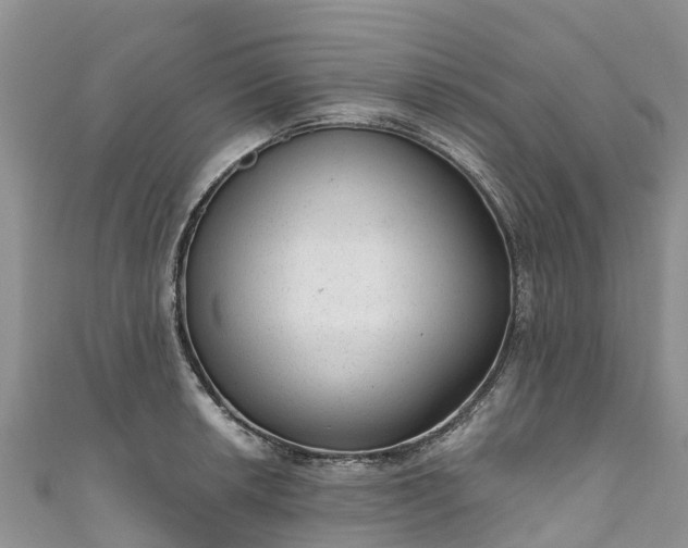 X0000110961042200906261337